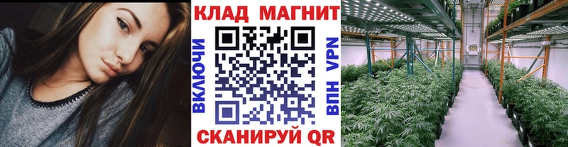 Названия наркотиков Приморск COCAIN  Меф 