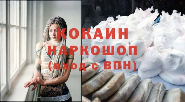 мдпв Дмитровск