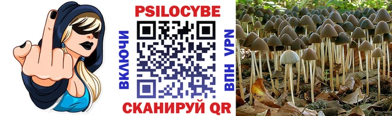 Псилоцибиновые грибы мухоморы  Приморск 