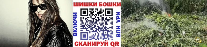 Бошки марихуана сатива  Приморск 